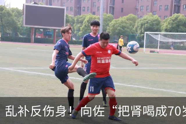 乱补反伤身！向佐“把肾喝成70岁”，精准营养催生千亿市场