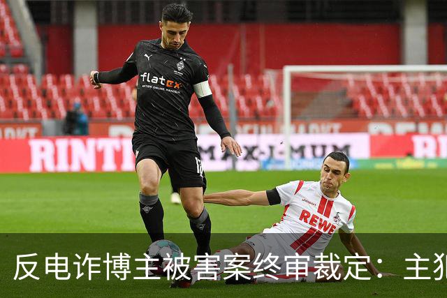 反电诈博主被害案终审裁定：主犯被判死缓，其余13人获刑