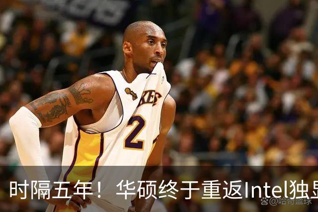 时隔五年！华硕终于重返Intel独显：上来就是32GB大显存