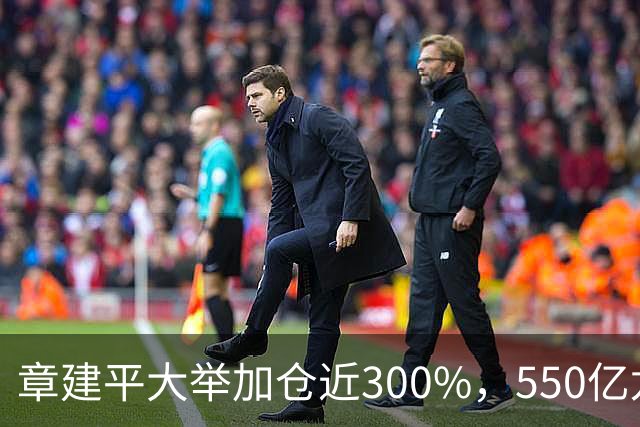 章建平大举加仓近300%，550亿龙头净利暴增26倍