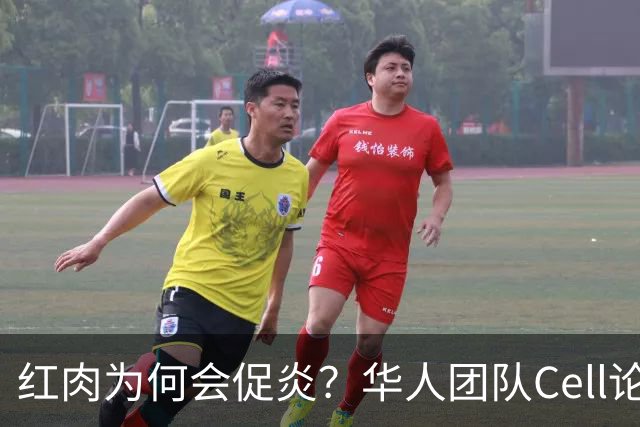 红肉为何会促炎？华人团队Cell论文：红肉及肌肉损伤产生的左旋肉碱会激活炎性小体，加剧炎症