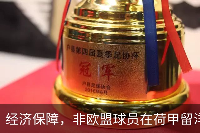经济保障，非欧盟球员在荷甲留洋，最低年薪为63万欧