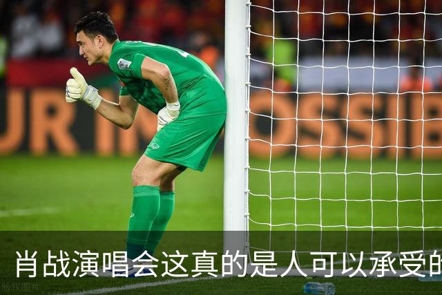 肖战演唱会这真的是人可以承受的吗？散场后还设心理疏导岗