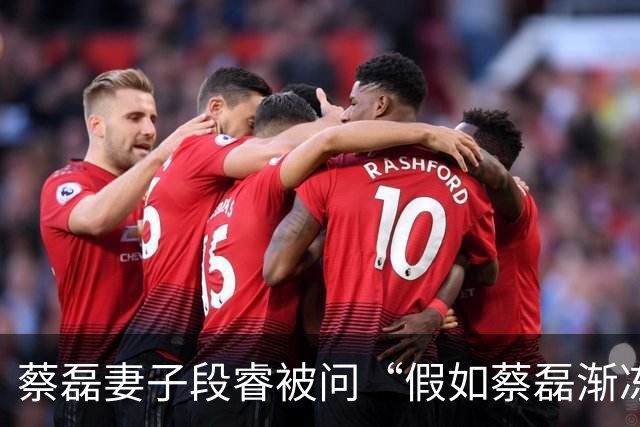 蔡磊妻子段睿被问“假如蔡磊渐冻症康复”，落泪称“不甘心”，若蔡磊康复会对他说“我好累啊，我不干了”；蔡磊确诊那年她29岁，今年37岁