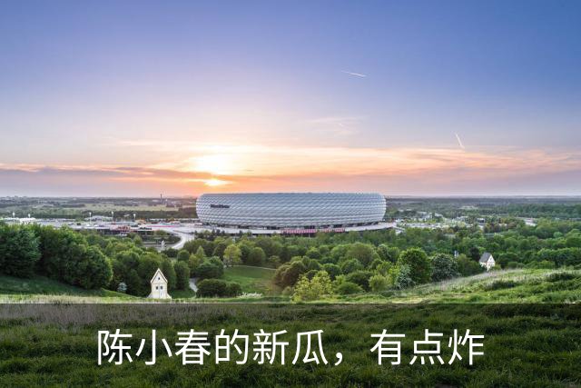 陈小春的新瓜，有点炸